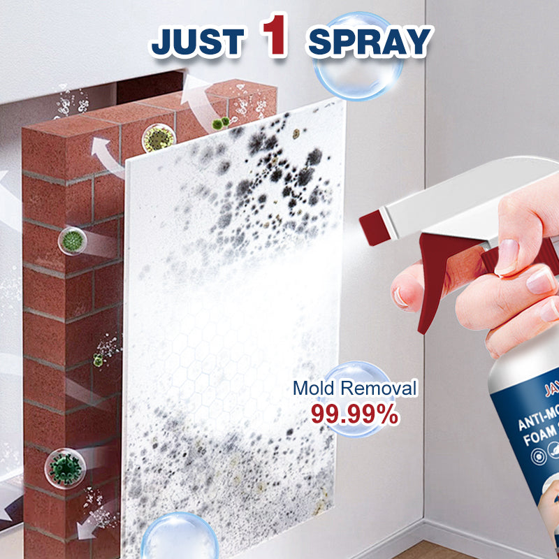 🔥Buy 2 Get 1 Free🔥Foam cleaning mold remover spray