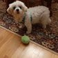 💖Limited Sale 50% OFF💖Anti-Anxiety Automatic Moving Ball Dogs And Cat Toys