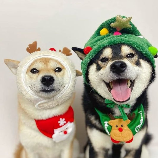 🎁Gift for your furbaby 50% OFF🎄🎅Adorable Christmas Tree Pom-Pom Hat