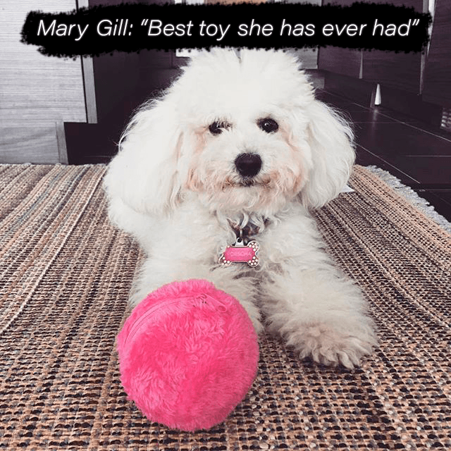 💖Limited Sale 50% OFF💖Anti-Anxiety Automatic Moving Ball Dogs And Cat Toys