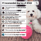 💖Limited Sale 50% OFF💖Anti-Anxiety Automatic Moving Ball Dogs And Cat Toys