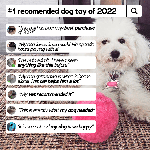 💖Limited Sale 50% OFF💖Anti-Anxiety Automatic Moving Ball Dogs And Cat Toys