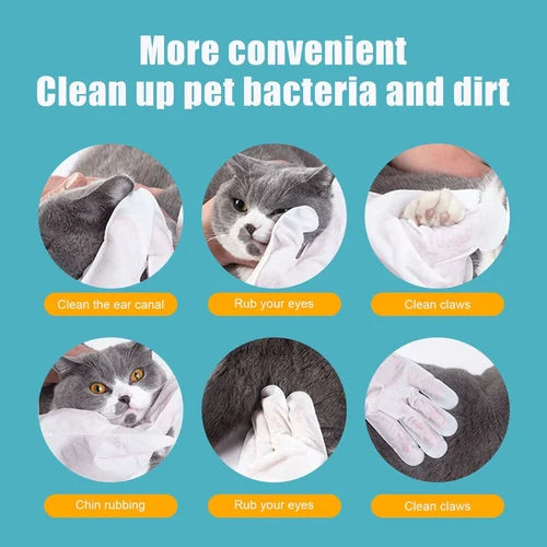 💖Limited Sale 50% OFF💖 Pet Clean Wash Free Gloves