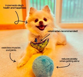 💖Limited Sale 50% OFF💖Anti-Anxiety Automatic Moving Ball Dogs And Cat Toys