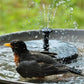 📢📢50% OFF !!!⏰🐦️Compact Solar Bird Fountain Pump – Keep Your Garden Alive!