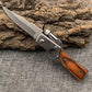 🔥FLASH SALE! £10.79🔥Outdoor Stainless Steel Portable Folding Knife🗡️