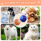 💖Limited Sale 50% OFF💖Rechargeable Pet Interactive Motion Ball with Lights