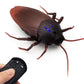 ✨LAST DAY SALE 50% OFF✨Remote Control Insects Toy